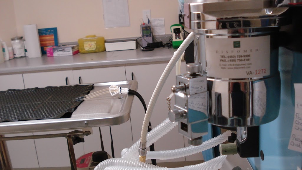 Clinique Vétérinaire St-Tite | 711 Sainte Geneviève, Saint-Tite, QC G0X 3H0, Canada | Phone: (418) 365-7302