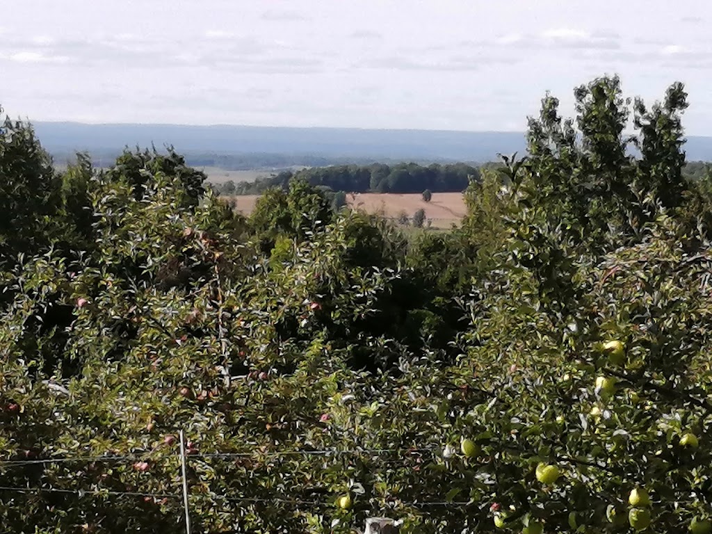 Jude-Pomme | 223 Rang Sainte-Sophie, Oka, QC J0N 1E0, Canada | Phone: (450) 479-6080