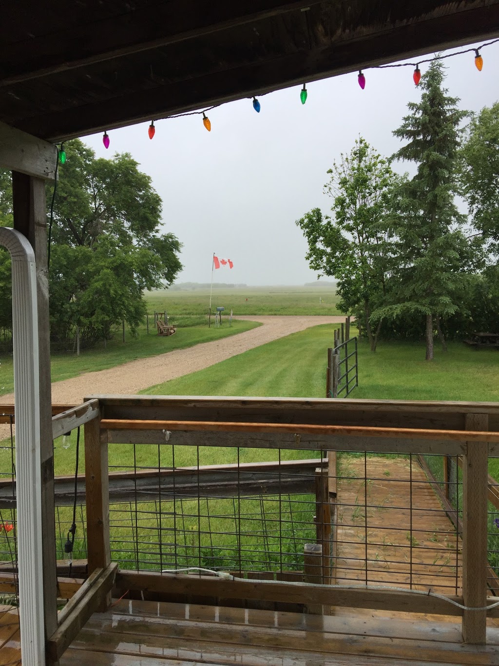 Grey Birch Acres Carehome | Farm, Lumsden, SK S0G 3C0, Canada | Phone: (306) 731-2200