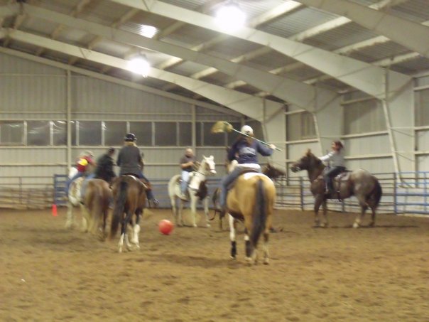 Lil-Bit Ranch | 3200 Bertie St, Ridgeway, ON L0S 1N0, Canada | Phone: (905) 894-8077