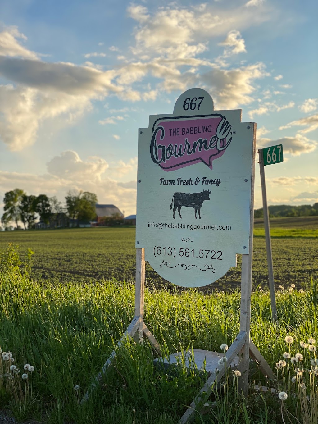 The Babbling Gourmet | 667 Northcote Rink Rd, Horton, ON K7V 3Z6, Canada | Phone: (613) 561-5722