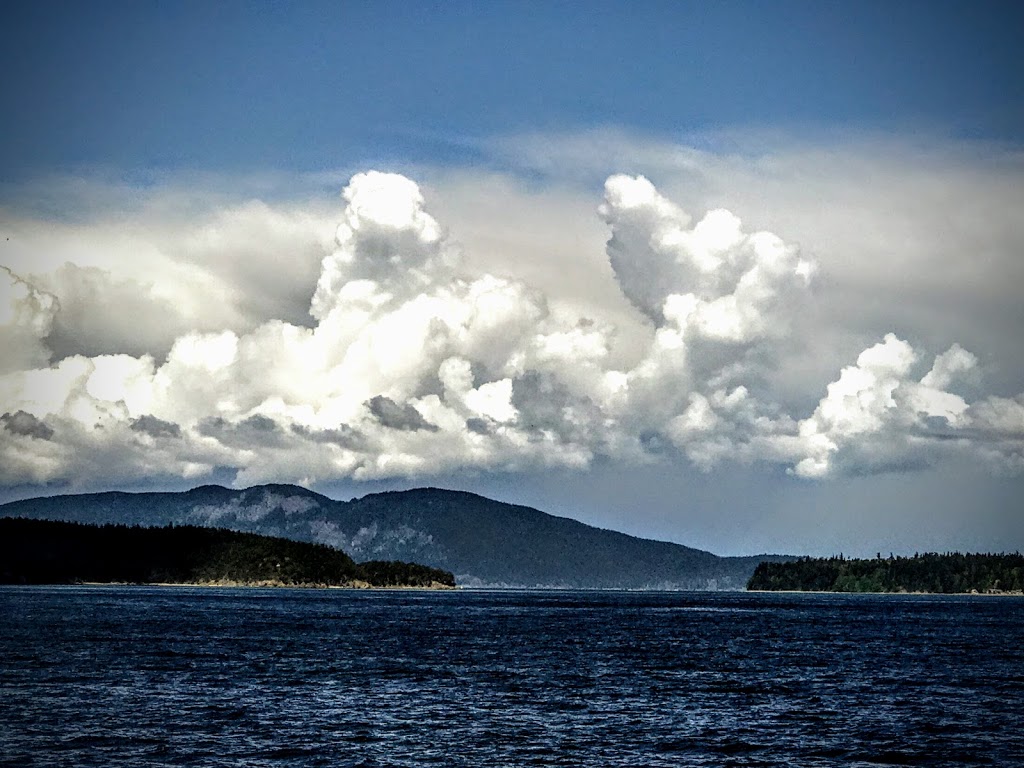 Ship Harbor Interpretive Preserve | Edwards Way, Anacortes, WA 98221, USA | Phone: (360) 293-1918