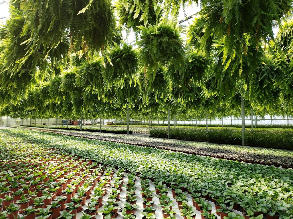 Midway Farms | 2295 Fourth Avenue Louth, Jordan Station, ON L0R 1S0, Canada | Phone: (905) 562-3189