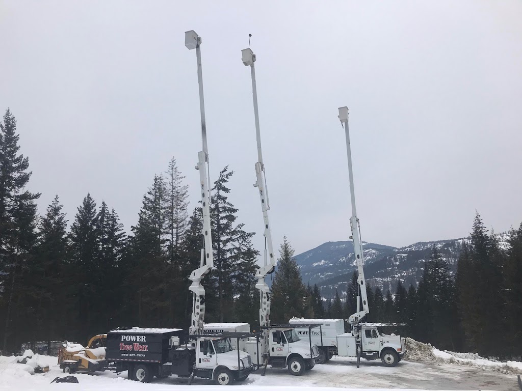 Tree Werx | 1517 Vella Rd, Tappen, BC V0E 2X2, Canada | Phone: (250) 517-7273