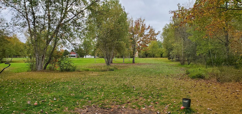 Above Par Golf Course | 9725 NS-201, Wilmot, NS B0P 1W0, Canada | Phone: (902) 824-0363