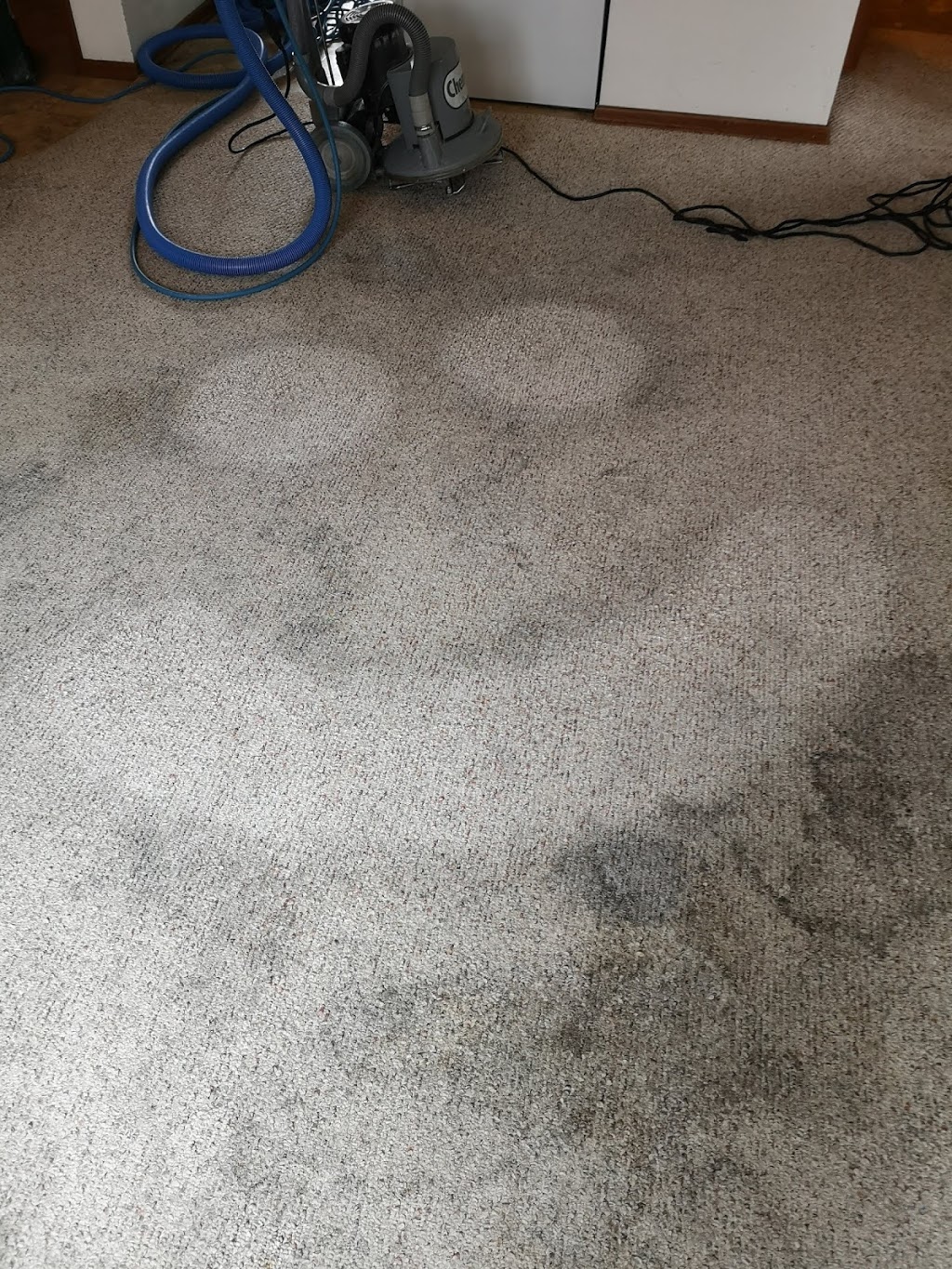 Chem-Dry of Saskatoon | 1738 Saskatchewan Ave, Saskatoon, SK S7K 1P7, Canada | Phone: (306) 934-5995