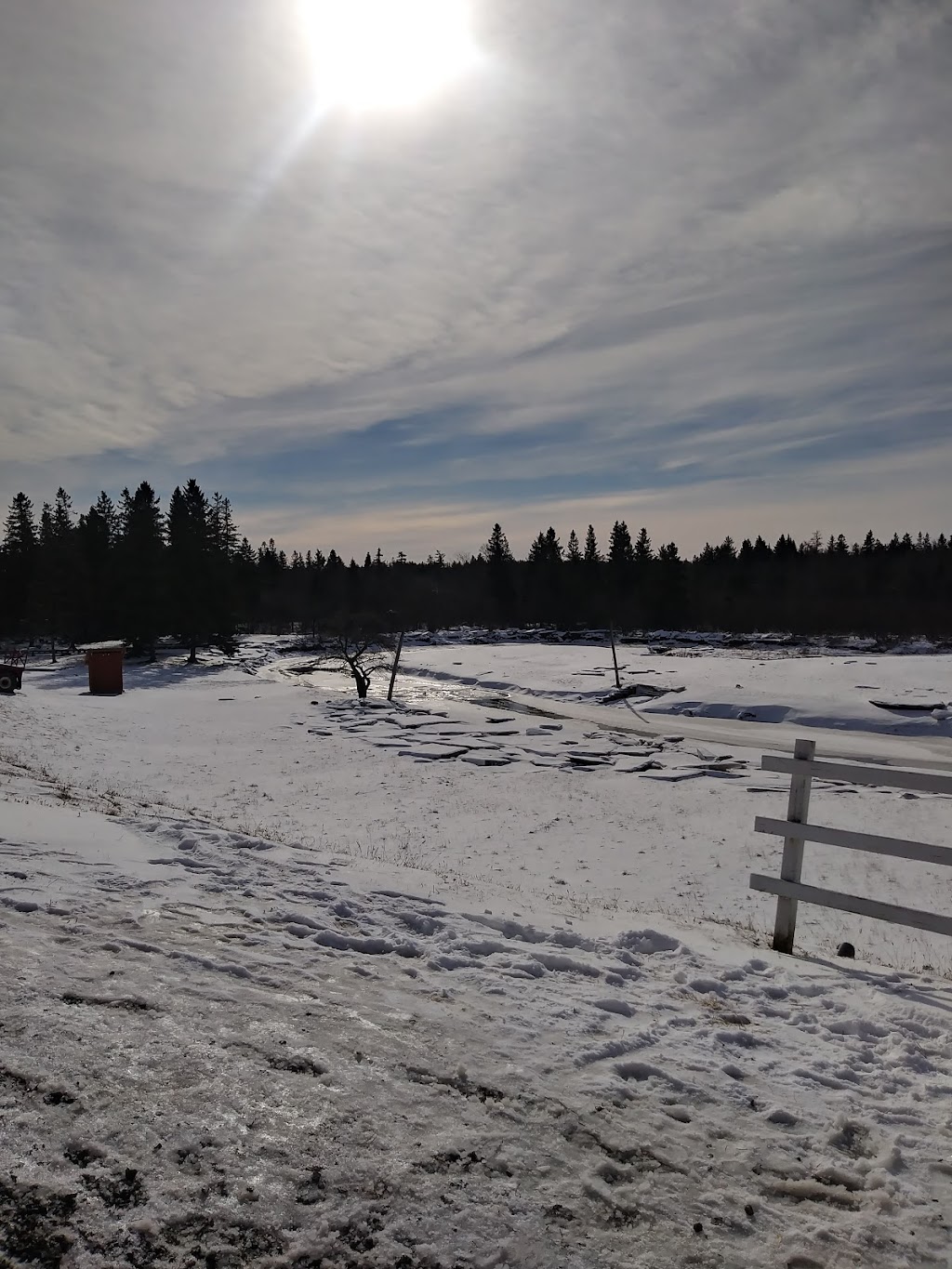 Forest Glen Bible Camp | 884 Forest Glen Rd, Brookfield, NS B0N 1C0, Canada | Phone: (902) 673-3228
