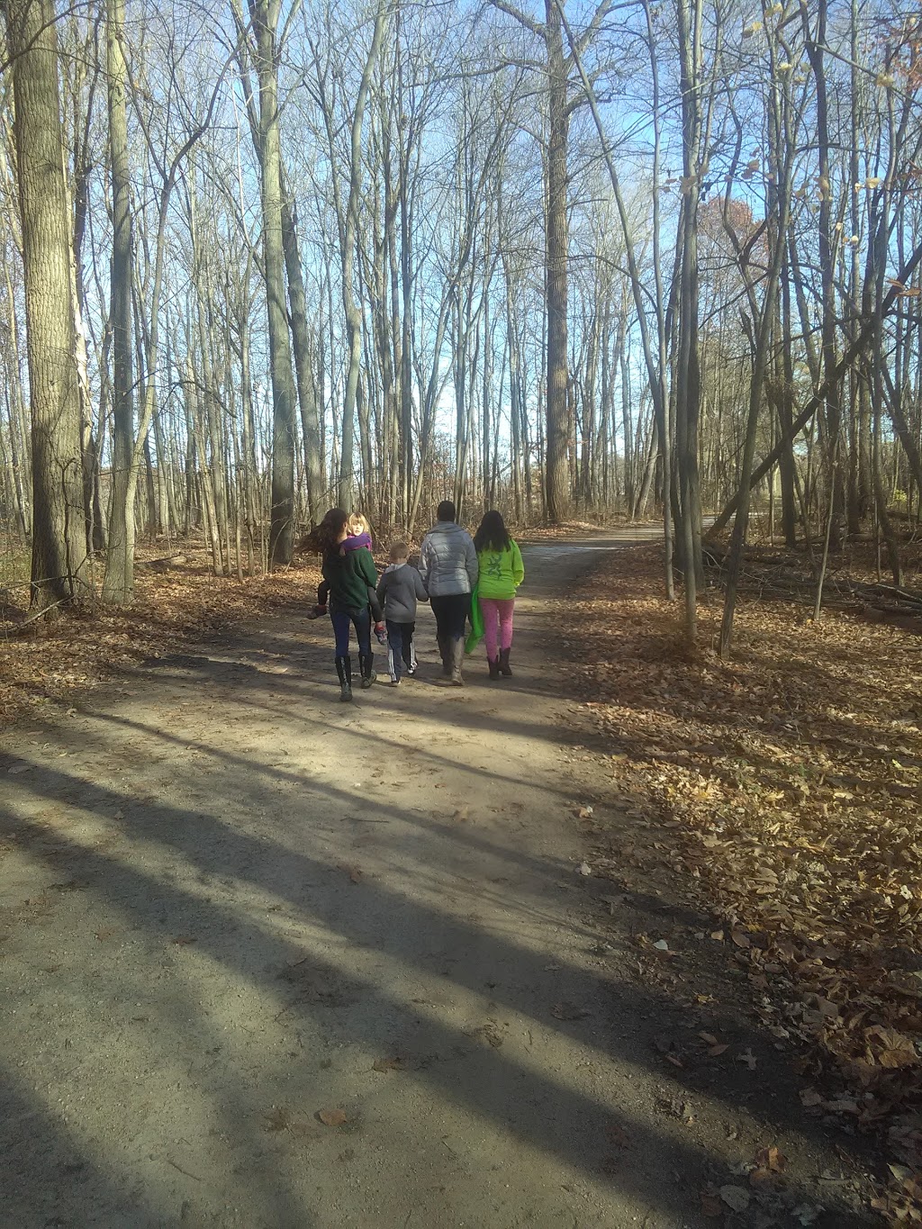 Columbus County Park Sledding Hill | 1378 Bauman Rd, Columbus, MI 48063, USA