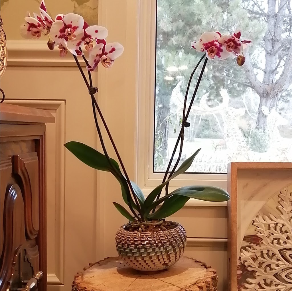 ArtiPottery Studio | 1 Cachet Pkwy, Markham, ON L6C 1G7, Canada | Phone: (416) 826-0613