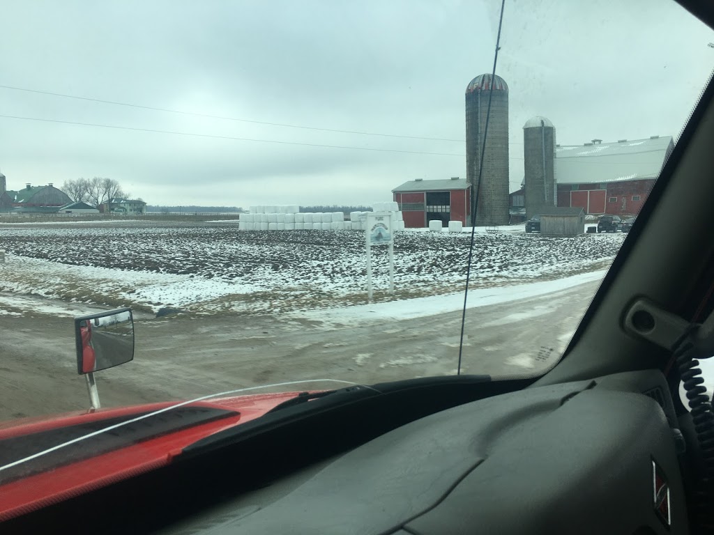 David Weber | 7531 Line 86, Wallenstein, ON N0B 2S0, Canada | Phone: (519) 698-2620