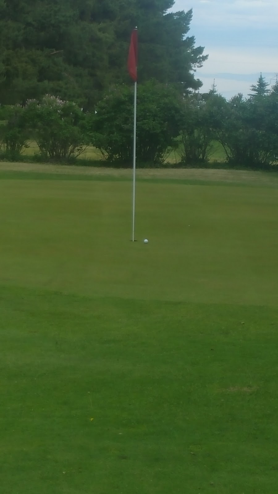 Meadows Executive Par 3 Golf Course | Cassils Road and Hwy 36, Brooks, AB T1R 1B7, Canada | Phone: (403) 362-6477