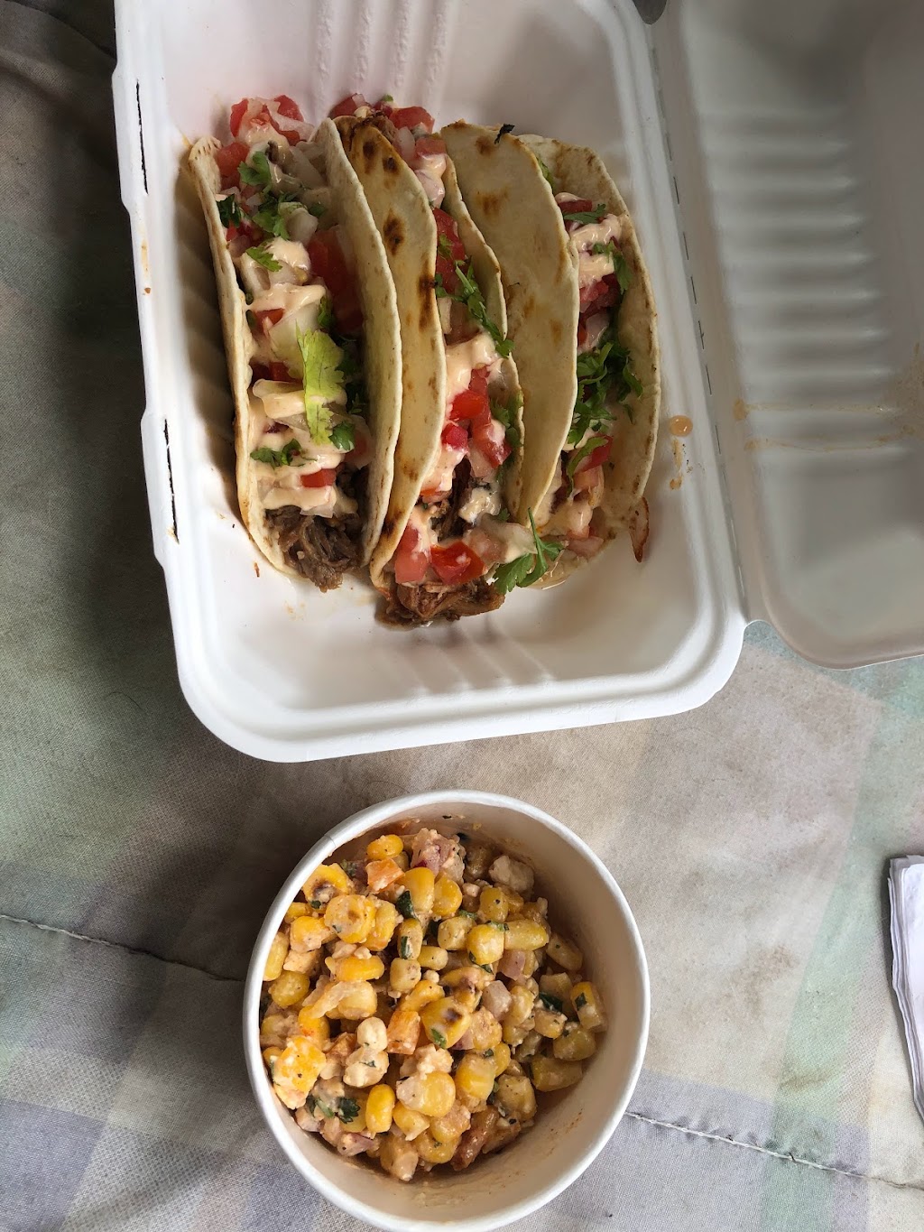 pura vida food truck | 500 Ottawa St, Almonte, ON K0A 1A0, Canada | Phone: (613) 878-7011