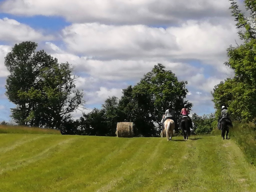 Shiloh Hill Farm | 6520 Shiloh Rd, Newtonville, ON L0A 1J0, Canada | Phone: (905) 925-4558