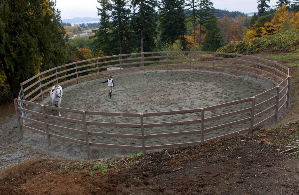 NewView Stables | 272159 AB-22, Rocky View No. 44, AB T4C 1A1, Canada | Phone: (250) 415-5650