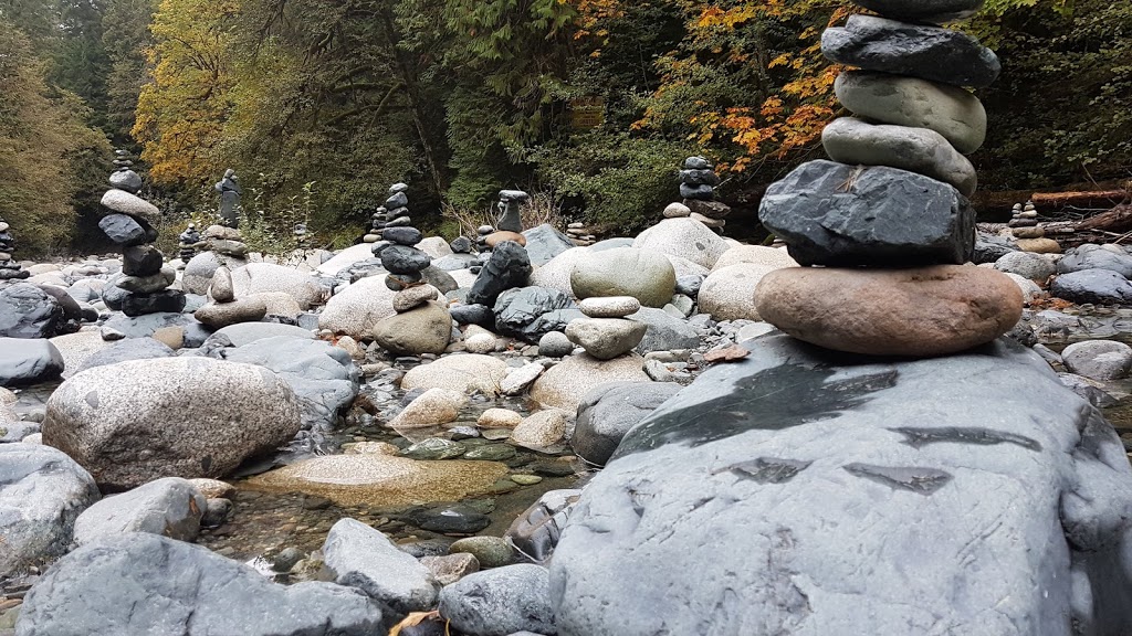 Englishman River Falls Provincial Park | 2245 Errington Rd, Errington, BC V0R 1V0, Canada | Phone: (250) 474-1336