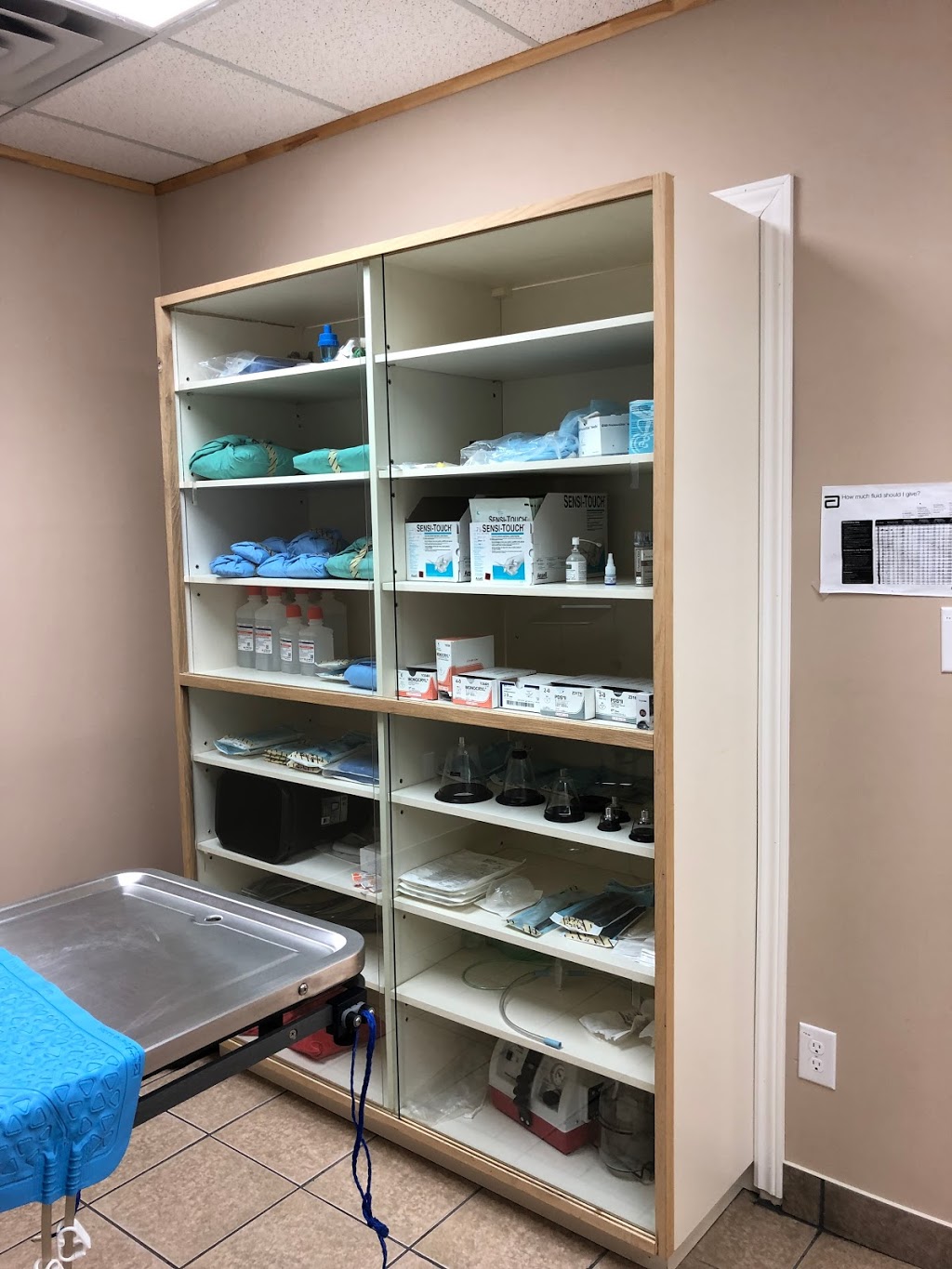 Fallsview Veterinary Clinic | 6144 McLeod Rd, Niagara Falls, ON L2G 7P5, Canada | Phone: (289) 296-2172