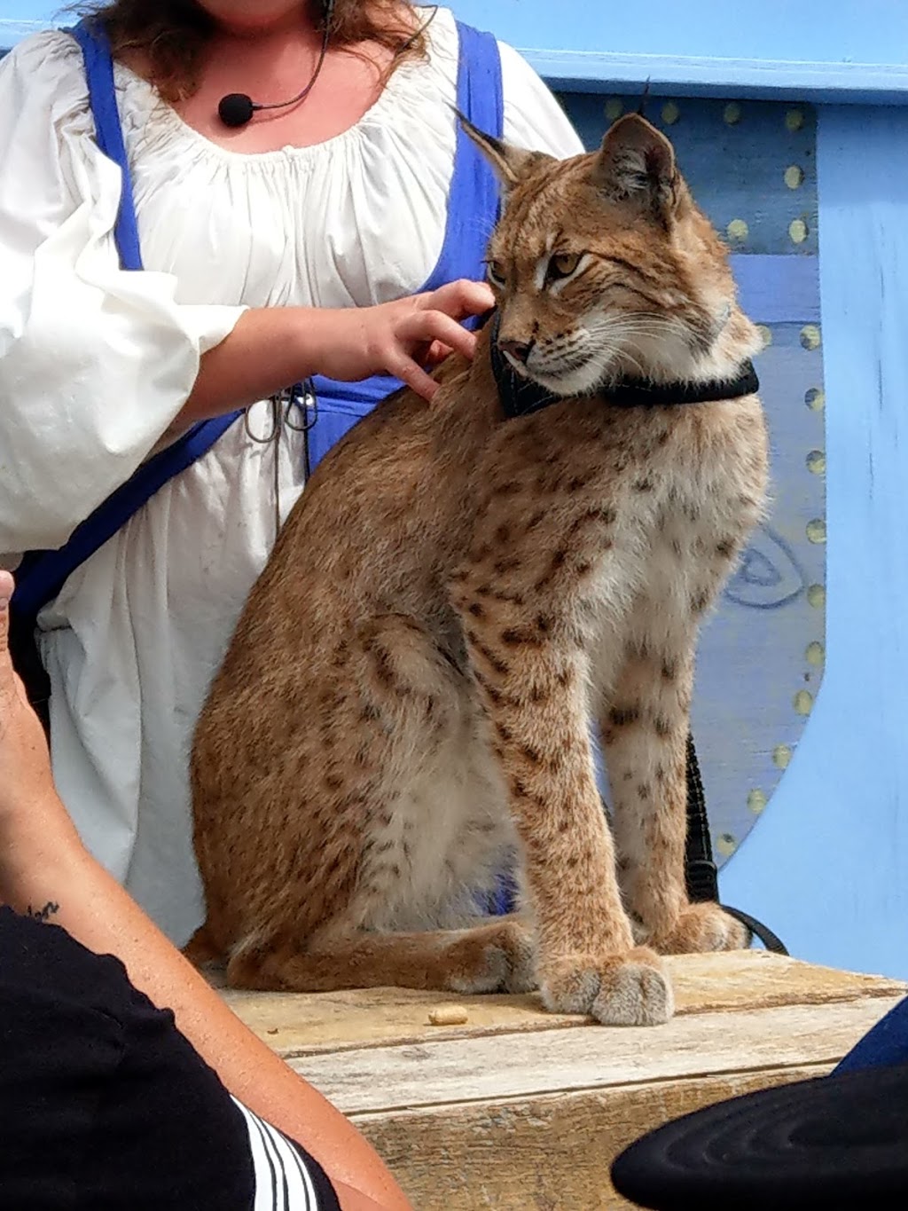 Hawk Creek Wildlife Center | 1963 Mill Rd, East Aurora, NY 14052, USA | Phone: (716) 652-8646
