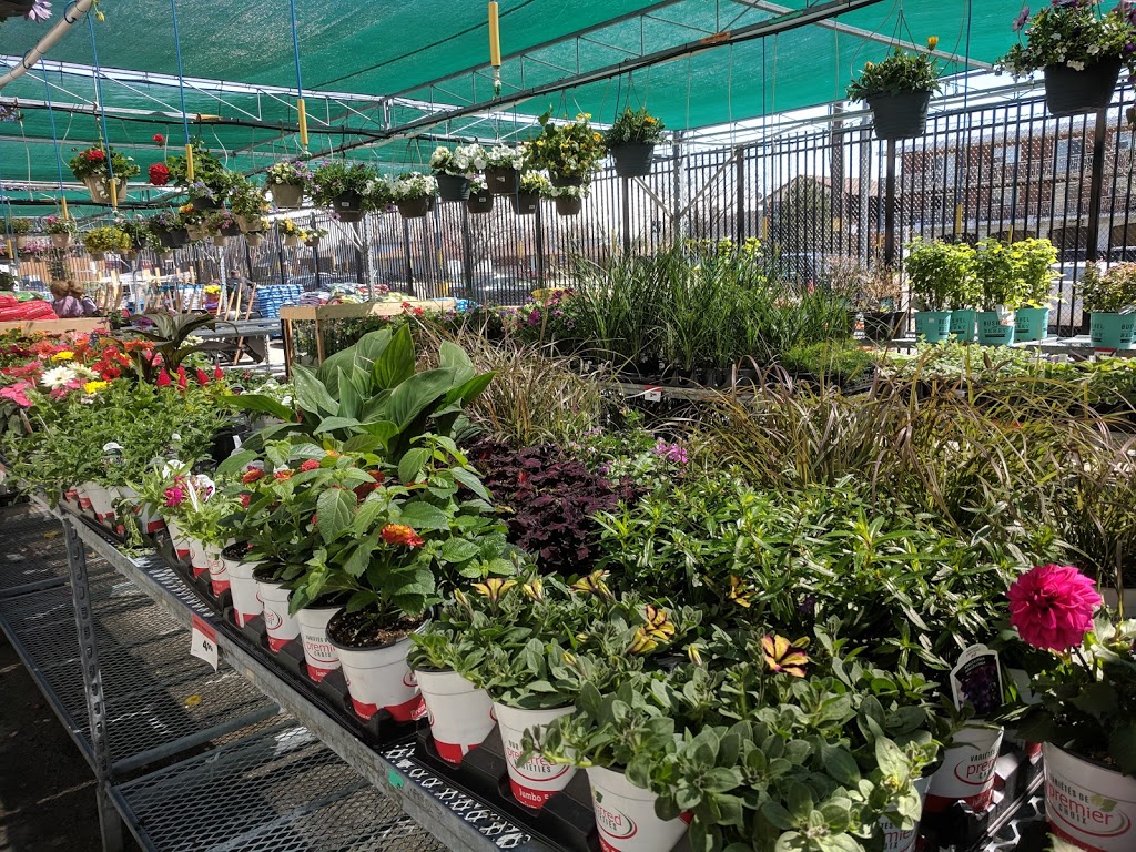 Canadian Tire - Hamilton Mt.West, ON | 777 Upper James St, Hamilton, ON L9C 3A1, Canada | Phone: (905) 385-3276