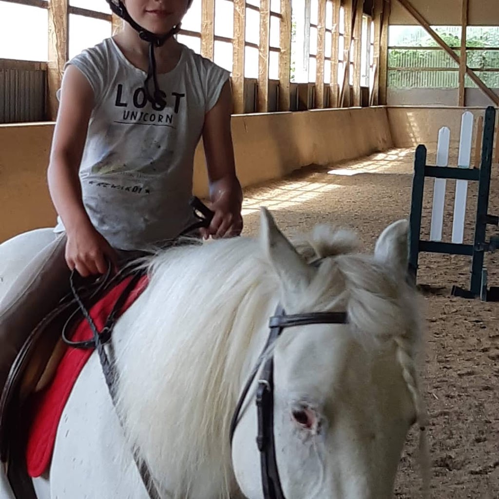 JL Equestrian Centre | 1110 Huron Rd, Petersburg, ON N0B 2H0, Canada | Phone: (226) 808-3518