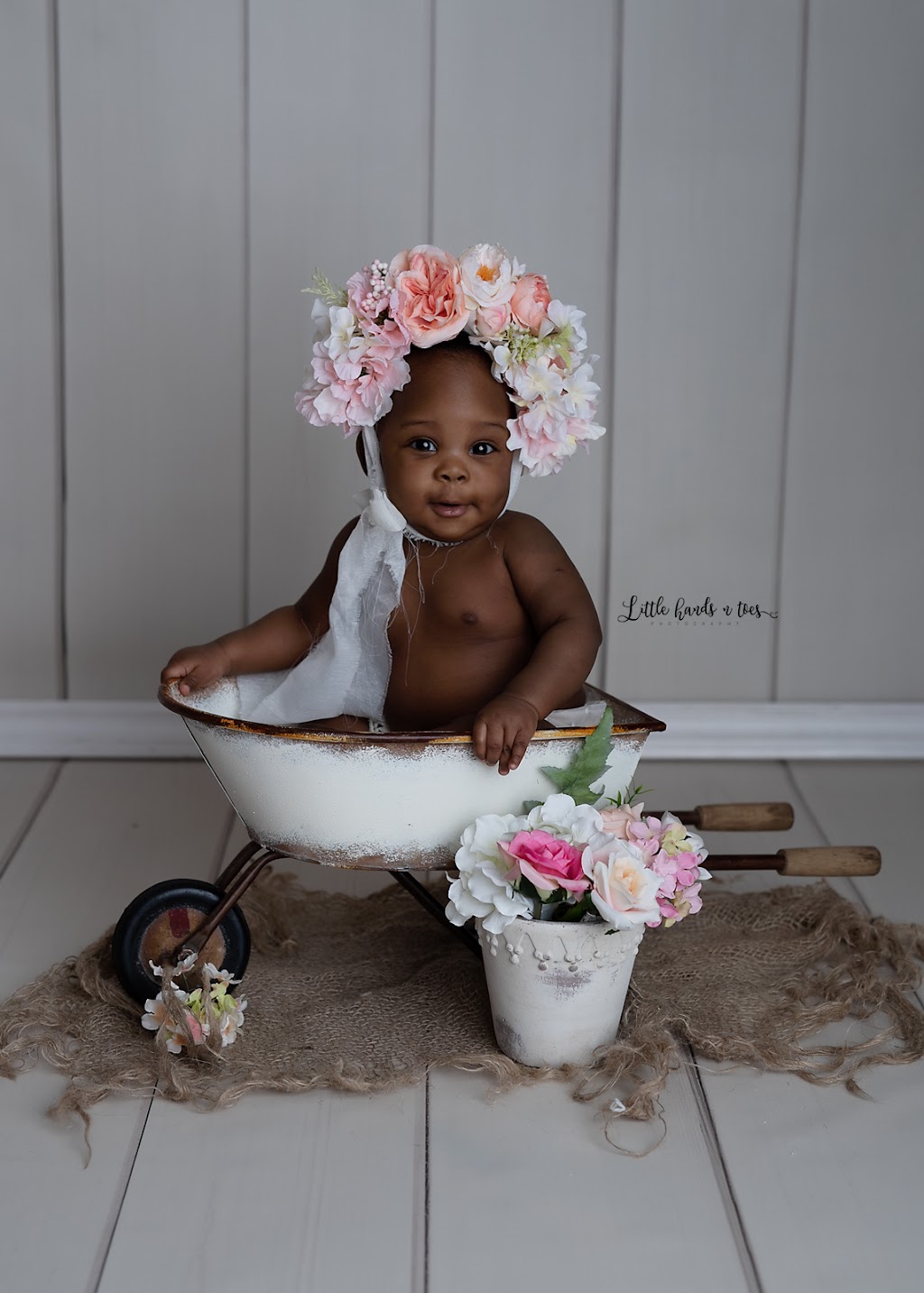 Little hands n toes photography | 2126 27 Ave SW, Calgary, AB T2T 1H7, Canada | Phone: (403) 681-2719