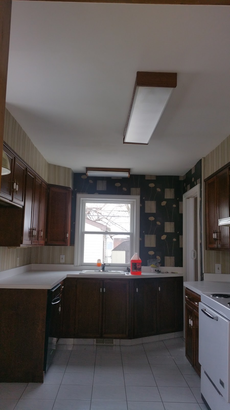 DYNASTY MAINTENANCE CREW LLC | BOX 1052, Buffalo, NY 14206, USA | Phone: (716) 948-8119