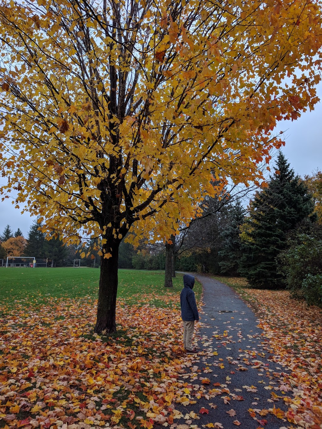Houlahan Park | 44 Tartan Dr, Nepean, ON K2J 2V8, Canada | Phone: (613) 580-2400