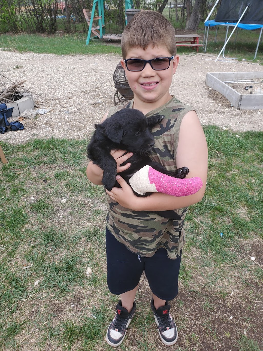 Arborg Veterinary Hospital | Highway 7 &, MB-68, Arborg, MB R0C 0A0, Canada | Phone: (204) 376-2797