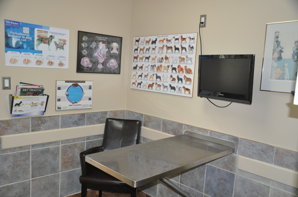 Acton Veterinary Clinic | 10 River St, Acton, ON L7J 1C1, Canada | Phone: (519) 853-1450