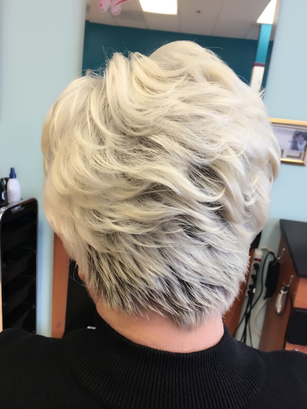 Skyview Hair Salon | 4251 Meridian St, Bellingham, WA 98226, USA | Phone: (360) 671-3221