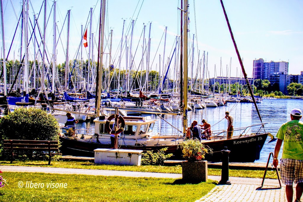 Humber Bay Park West Dog Park | 2225 Lake Shore Blvd W, Etobicoke, ON M8V 3X7, Canada