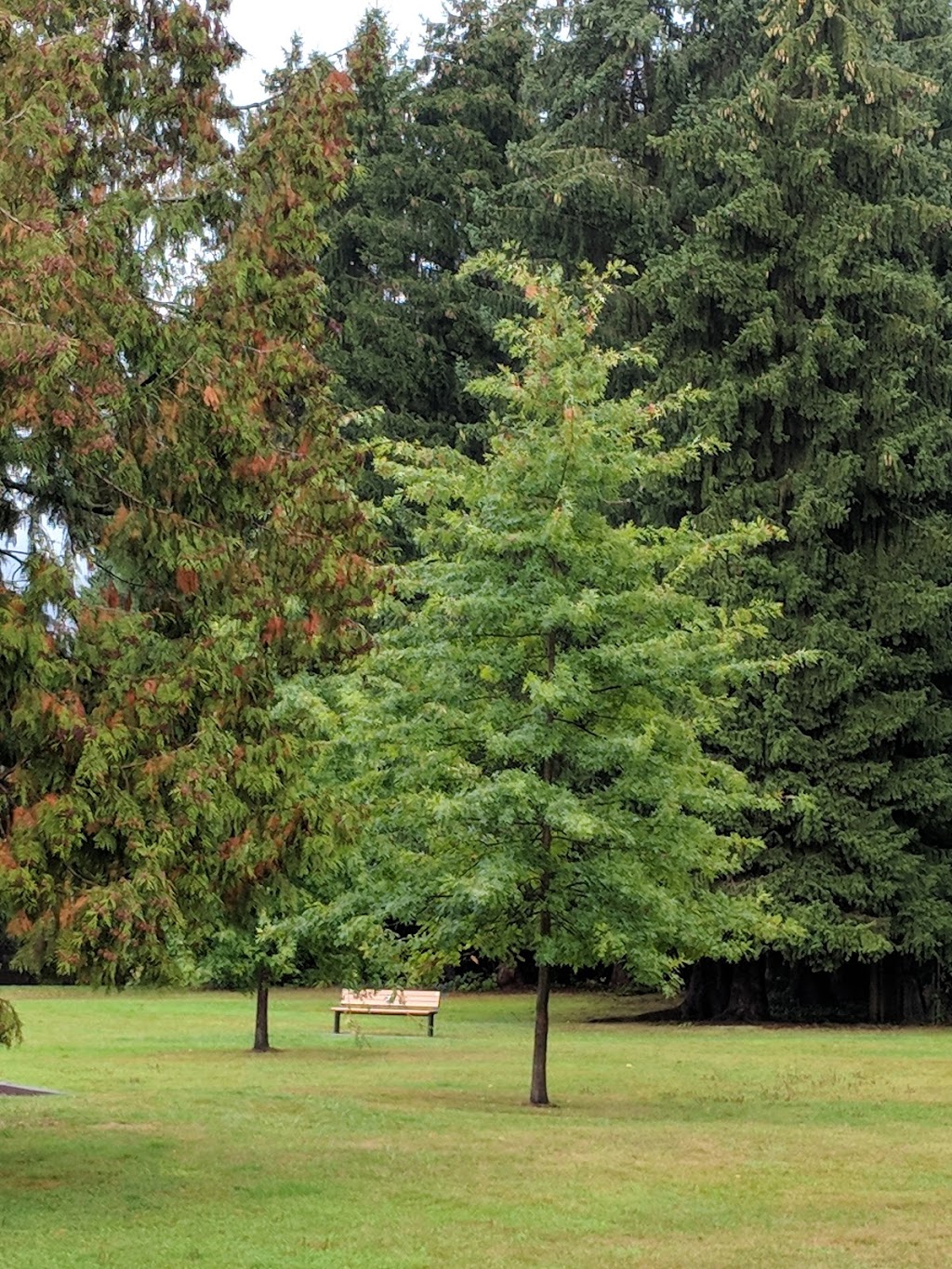 Fletcher Park | 12260 Fletcher St, Maple Ridge, BC V2X 6L4, Canada