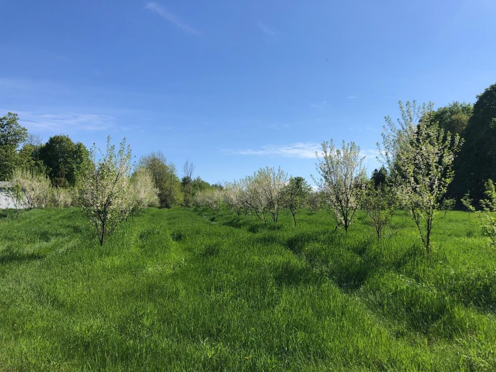 Awesome Blossom Organic Orchard | 3651 4e Rang, Sainte-Justine-de-Newton, QC J0P 1T0, Canada | Phone: (514) 867-0760