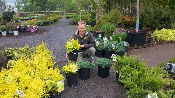 Brunswick Nurseries | 308 Model Farm Rd, Quispamsis, NB E2G 1M3, Canada | Phone: (506) 847-8244