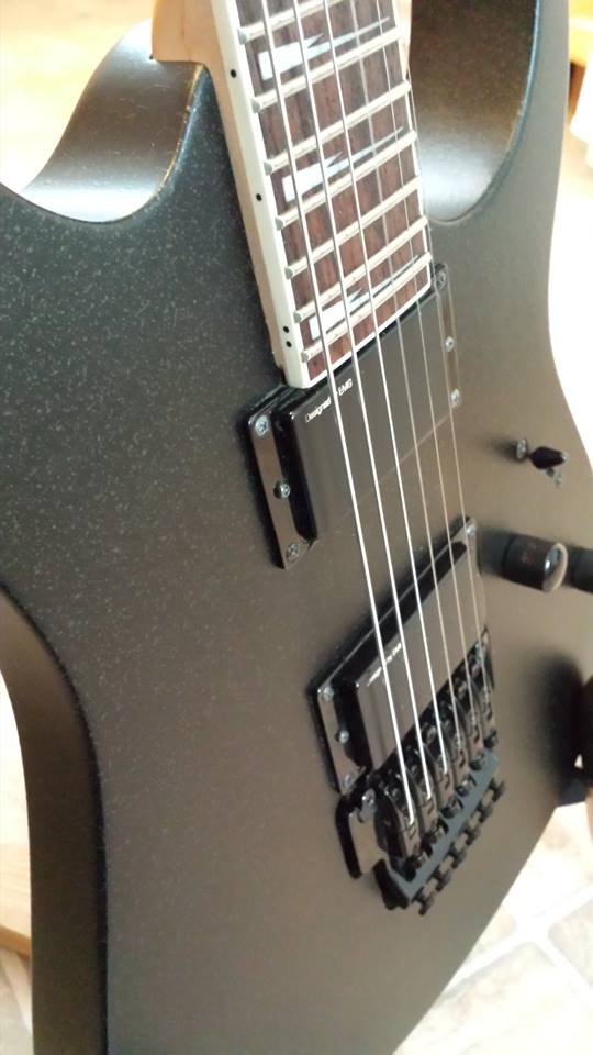 LEX Guitar Works | 1435 St Margarets Bay Rd suite 312, Lakeside, NS B3T 1K6, Canada | Phone: (902) 402-6211