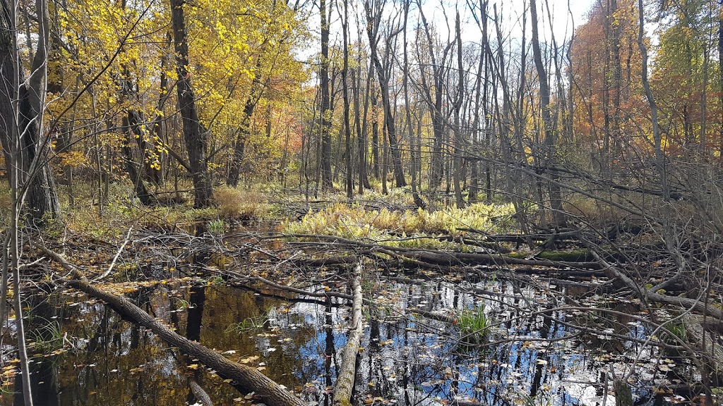 Rondeau Provincial Park | 18050 Rondeau Park Road, Morpeth, ON N0P 1X0, Canada | Phone: (519) 674-1750