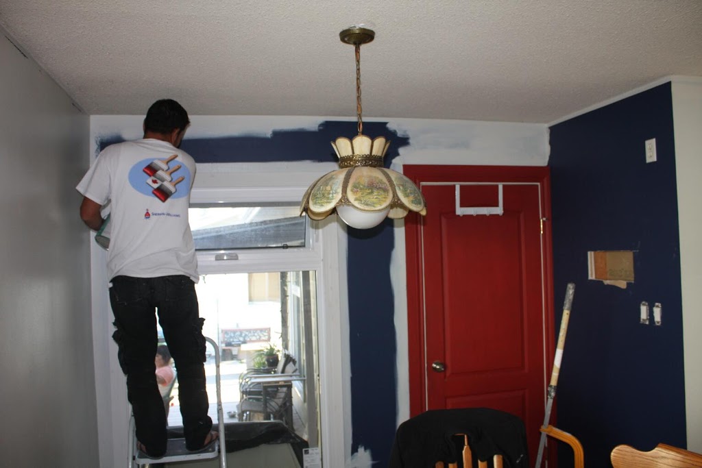 SNOW LEOPARD PAINTERS | 4850 Westwinds Dr NE #235, Calgary, AB T3J 3Z5, Canada | Phone: (403) 404-4663