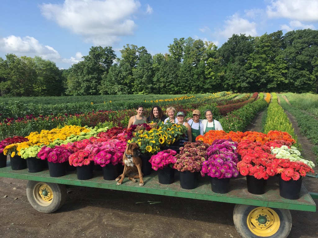 Henrys Gardens | 7884 Sisson Hwy, Eden, NY 14057, USA | Phone: (716) 536-0746