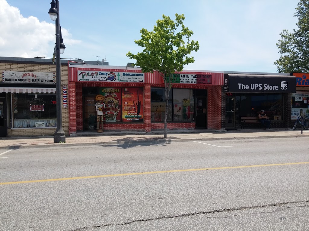 Crazy moes cafe & bar | 41 Erie St S, Leamington, ON N8H 3A8, Canada | Phone: (519) 322-5851