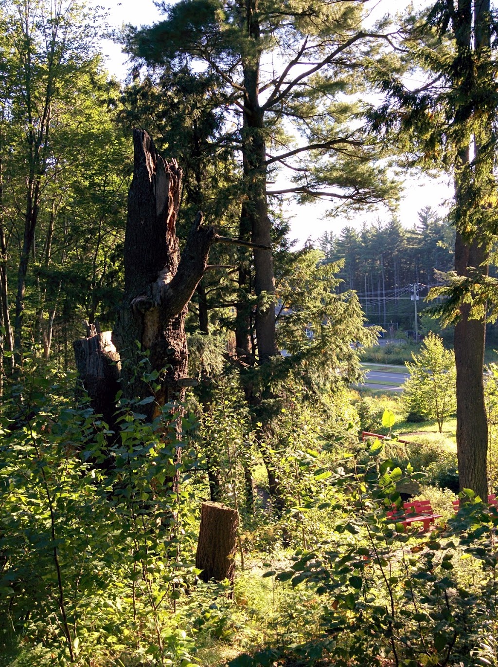 Parc Les Cours Du Ruisseau Noir | 1276 Rue Rodrigue, Terrebonne, QC J7M 0H1, Canada