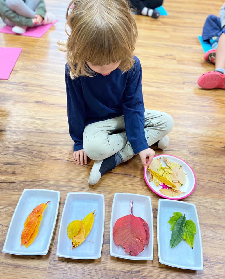 Bella Balloon Childcare Centre | 515 W Windsor Rd, North Vancouver, BC V7N 2N7, Canada | Phone: (604) 984-4481