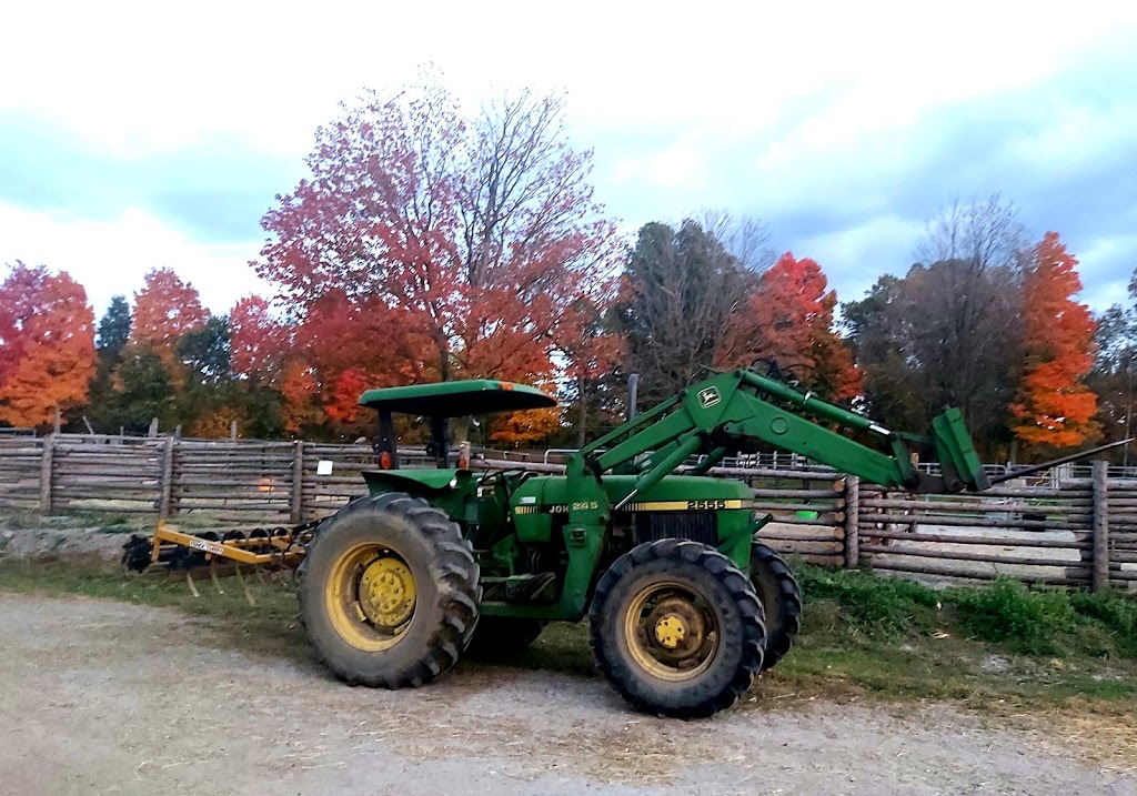 Sherwood Farms | 4419 Kilkenny Rd, Lyn, ON K0E 1M0, Canada | Phone: (613) 556-0466