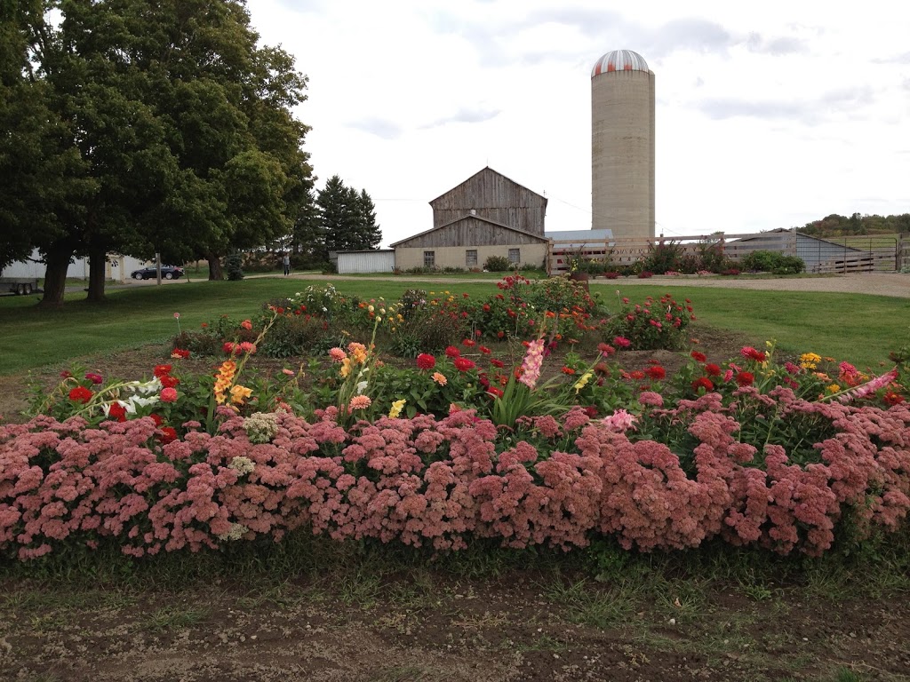 Estate Tree and Lawn Care TLC Inc | 13580 Concession 11, Schomberg, ON L0G 1T0, Canada | Phone: (905) 859-5843