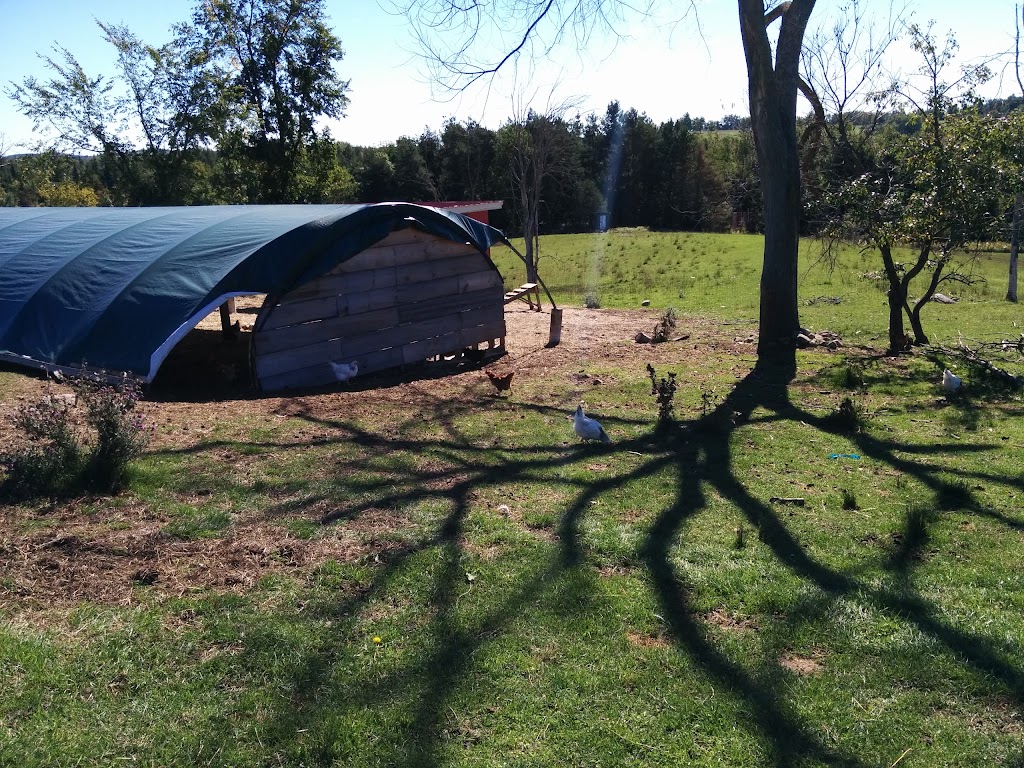 Everdale | 5812 6th Line, Hillsburgh, ON N0B 1Z0, Canada | Phone: (519) 855-4859