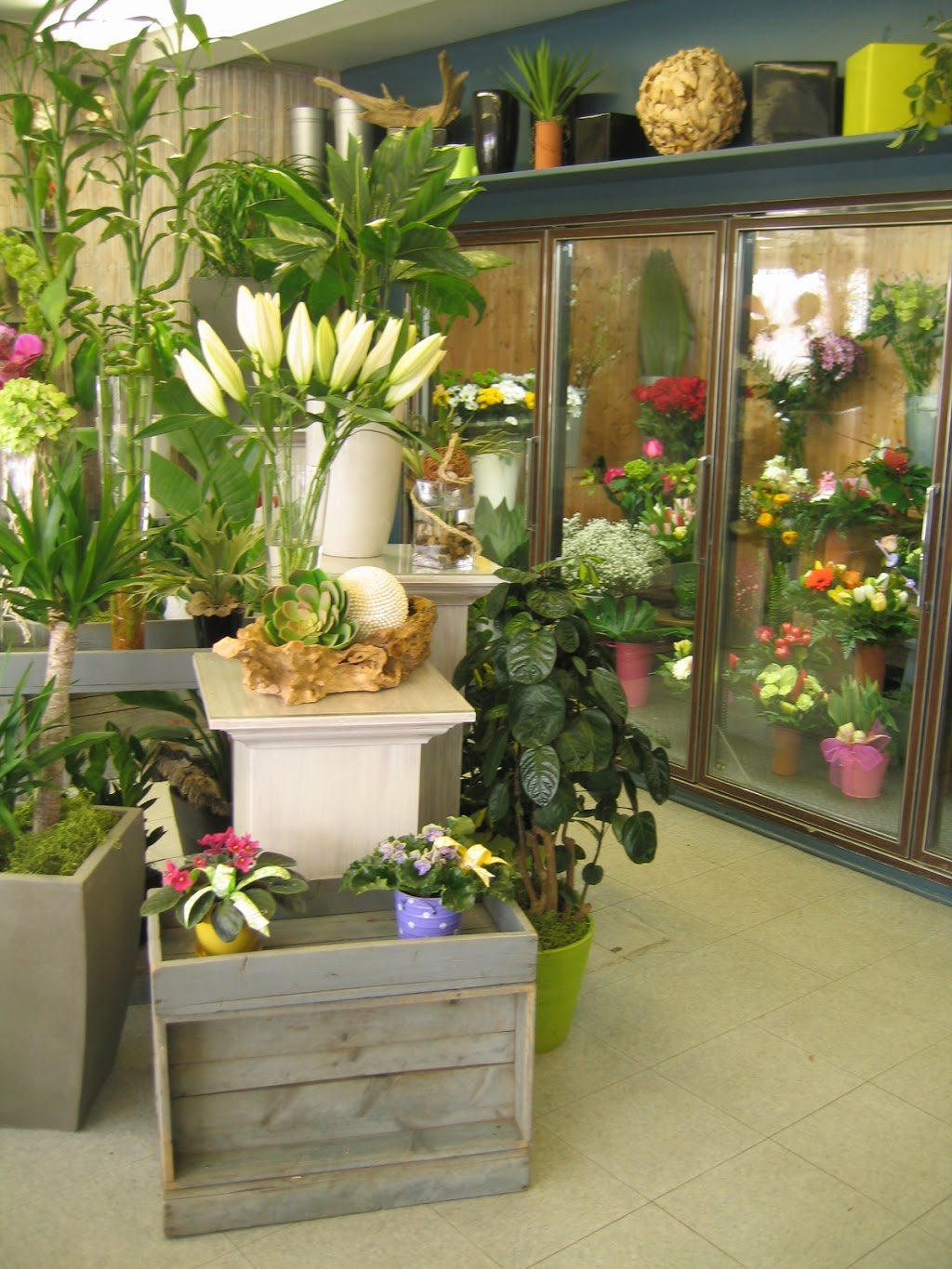Bardou Fleuriste | 1664 Chemin Saint-Louis, Québec, QC G1S 1G9, Canada | Phone: (418) 527-2579