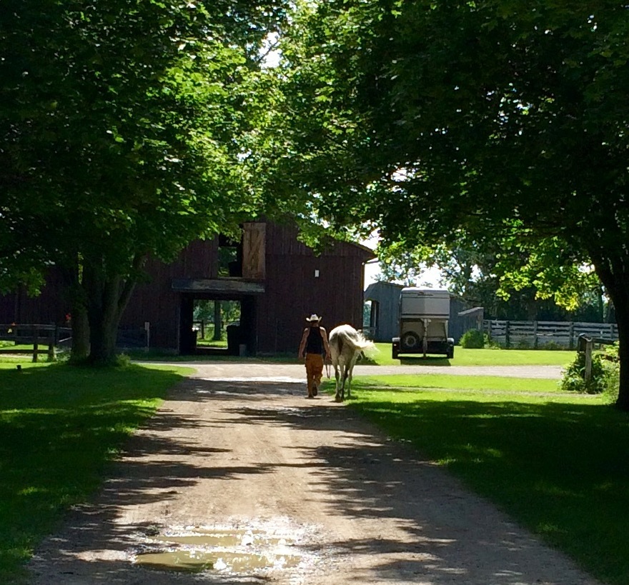 Double R Stables | 14848 Fourteen Mile Rd, London, ON N0M 1P0, Canada | Phone: (519) 280-5433
