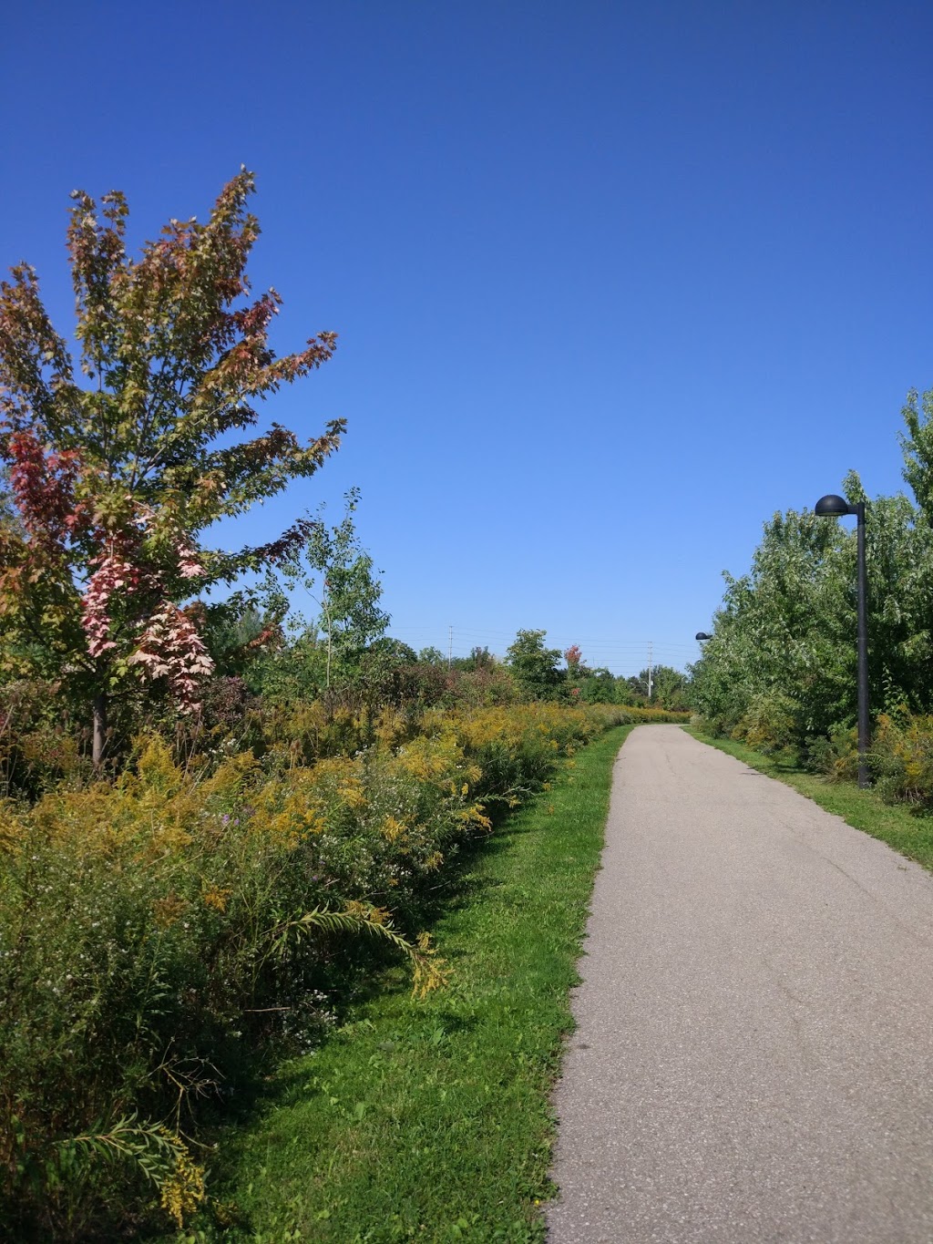 Winn Park | 655 Winn Trail, Milton, ON L9T 7R8, Canada