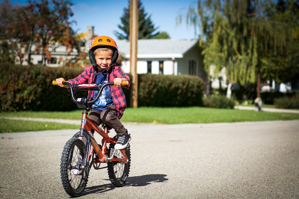 Anni Lygas Photography | 17 Valarosa Cove, Didsbury, AB T0M 0W0, Canada | Phone: (403) 831-9674