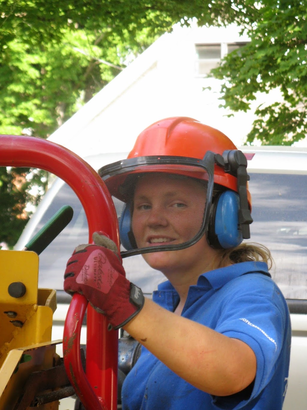 Woodpecker Tree Care NS | 25 Academy St, Amherst, NS B4H 3H9, Canada | Phone: (902) 667-1021