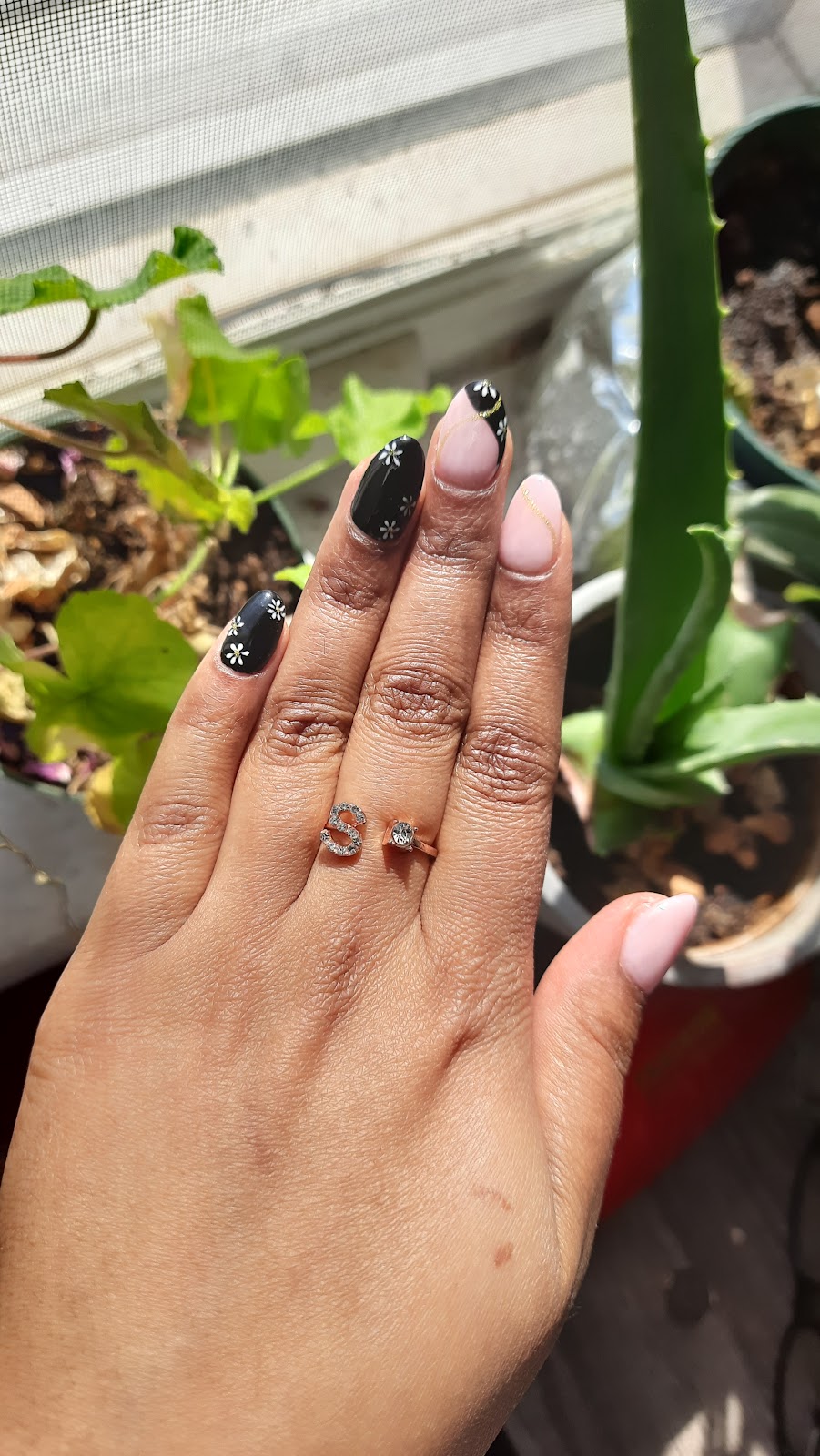 Regal Nails, Salon & Spa | 100 The Boardwalk, Kitchener, ON N2N 0B1, Canada | Phone: (519) 745-2018