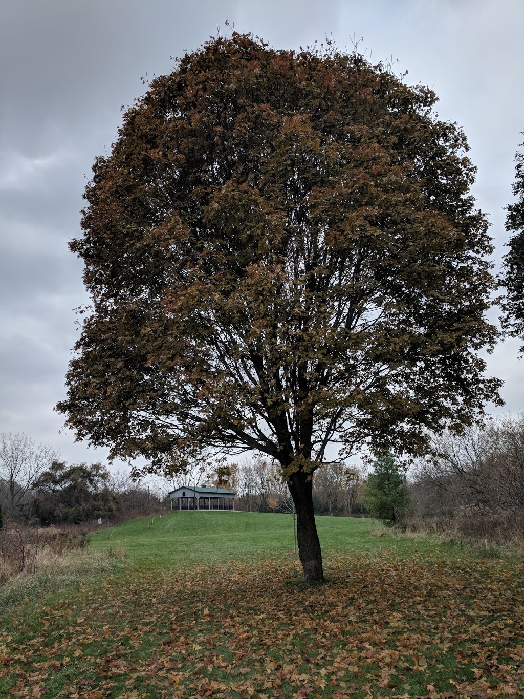 Ron Lenyk Springfield Park | 3325 The Credit Woodlands, Mississauga, ON L5C 1L1, Canada | Phone: (905) 615-4311
